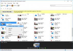DiskInternals Partition Recovery™ Les fichiers récupérables sont marqués d'une croix rouge.