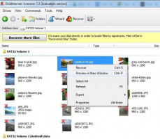 DiskInternals Uneraser™ DiskInternals Uneraser - comment prévisualiser une photo supprimée.